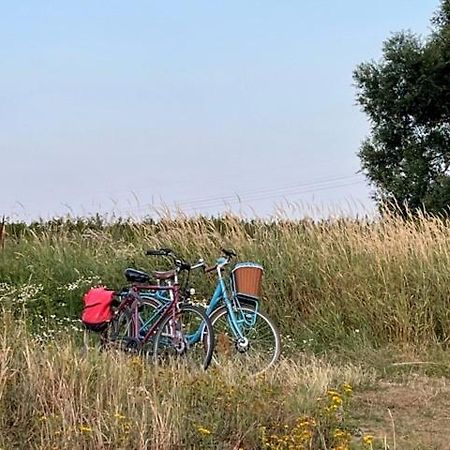 Lwb Ferienwohnung "Auszeit Im Denkmal" Wittenberg Kültér fotó